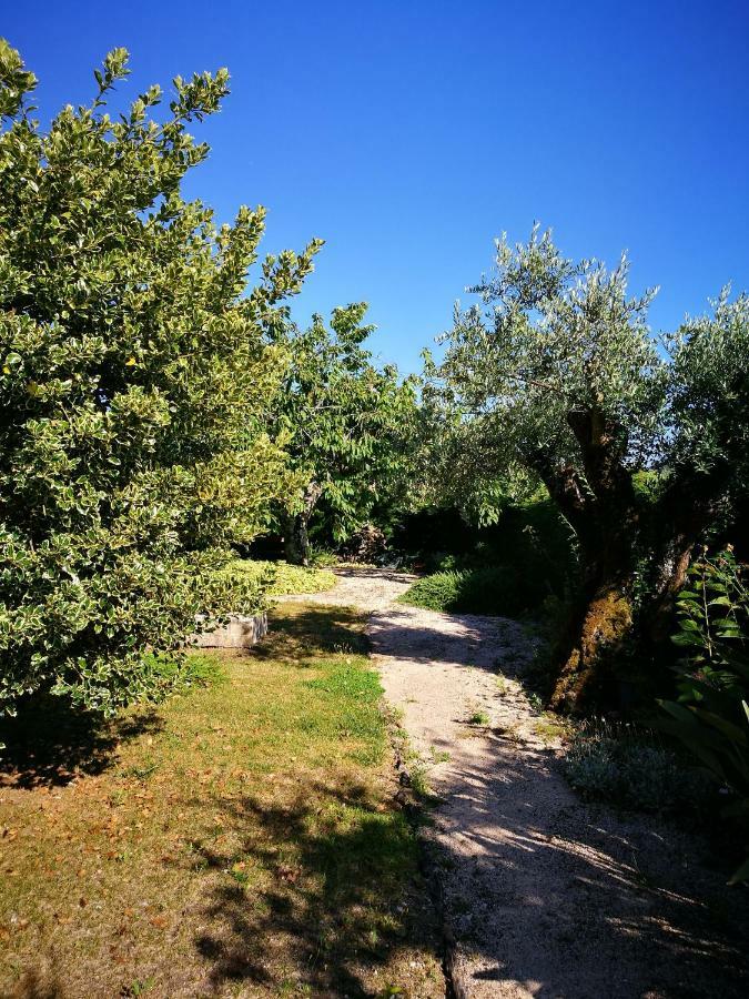 Casa Da Fonte Villa Alviobeira Bagian luar foto